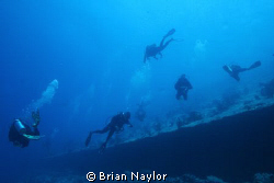 drifting into the lagoon on a clear day, looking up from ... by Brian Naylor 